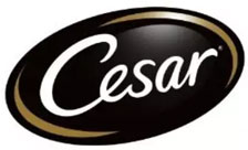 Hersteller: Cesar