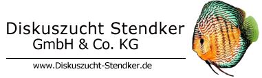 Hersteller: Stendker