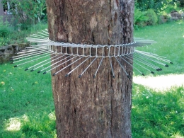 Katzenabwehrgürtel für Bäume - Vogelschutz