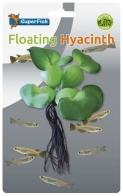 Easy Plant schwimmende Hyazinthe