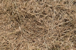 Almenland Kräuterheu - 1000g