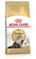 Persian - Adult - Perserkatze - 10kg