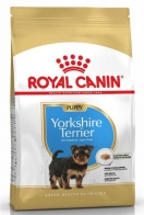 Yorkshire Terrier - Puppy - 1,5kg