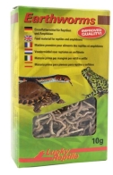 Earthworms für Reptilien und Amphibien - 10g