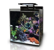 Blue Marine Reef 60 Aquarium - 35x45x40cm - 63L