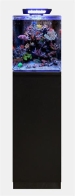 Blue Marine Reef 60 - Schrank schwarz - 35,5x45,5x87cm
