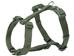 Premium H-Geschirr L-XL 75-120cm/25mm, waldgrün