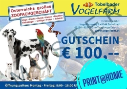 GUTSCHEIN 100 - Print@Home