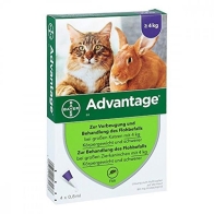 Advantage - Topfen gegen Flohbefall - Katze ab 4kg - 4x0,8ml