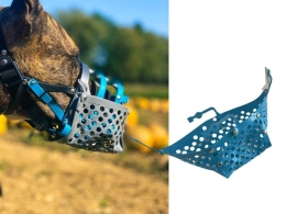 Giftköderschutz Basic L - Cappers - blau
