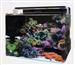 Blue Marine Reef 120 60x45x45cm/8mm Aquarium