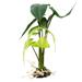 Alocasia grün - Kunststoffpflanze - 20x20x45cm