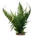 Deko Farnflanze grün - 10x9x22,5cm